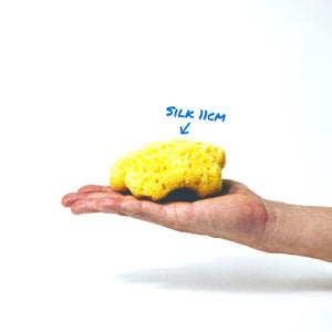 An 11cm Silk Sea Sponge on a hand