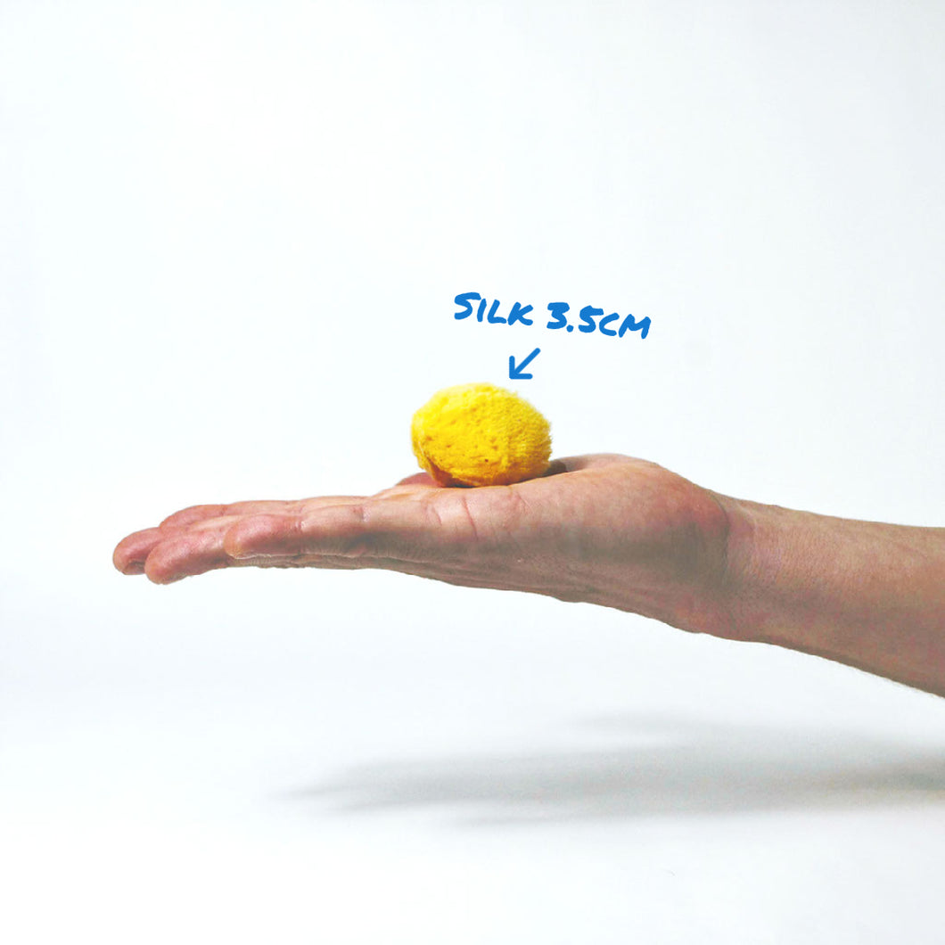 A 3.5cm Silk Sea Sponge on a hand