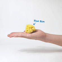 Load image into Gallery viewer, A 5cm Silk Sea Sponge on a hand
