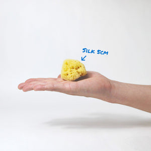 A 5cm Silk Sea Sponge on a hand