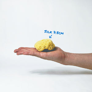 A 7.5cm Silk Sea Sponge on a hand