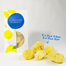 Load image into Gallery viewer, Sea Sponge Set - Mini Multipack
