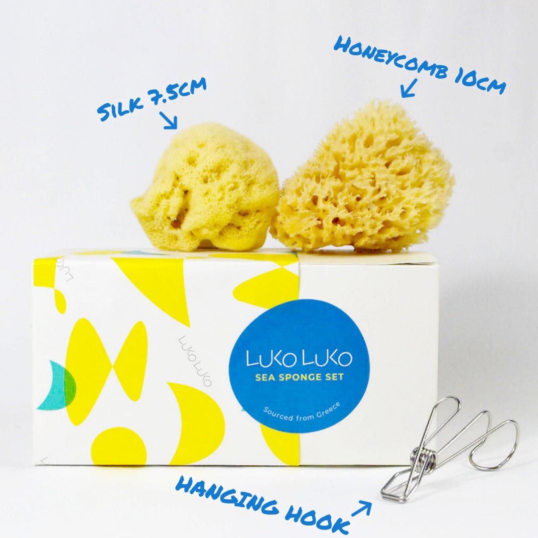 Sea Sponge Set - Baby – Luko Luko