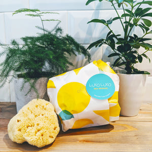 Left to right. A silk sea sponge on a bathroom countertop, next to a beautifully and brightly packaged sponge